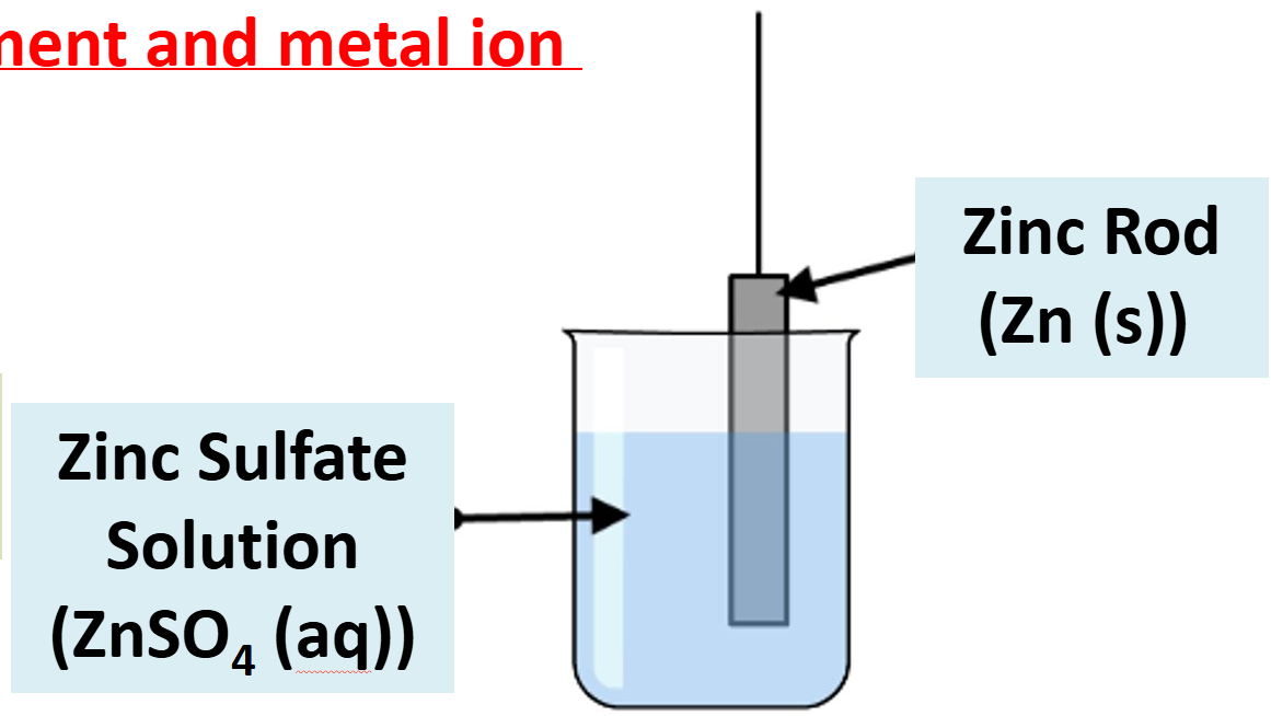 <p><strong>metal element</strong> placed in an <strong>aqueous solution of its ions </strong></p><p>e.g. Zn<sup>2+</sup><sub>(aq)</sub> + 2e<sup>-</sup> <span><strong><span>⇌ </span></strong></span>Zn<sub>(s)</sub> </p><p>forward = <span style="color: red;">reduction</span>, backward = <span style="color: blue;">oxidation </span></p>