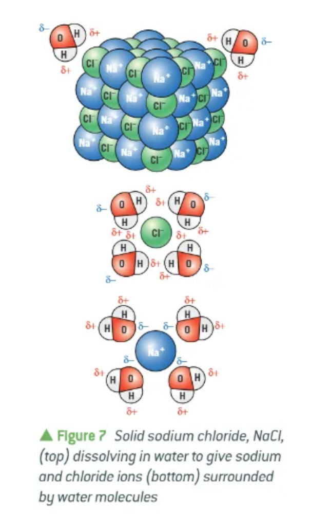 <ul><li><p>positive ions are attracted to the δ- of the water </p></li><li><p>negative ions are attracted to the δ+ of the water </p><p></p></li></ul><p></p>