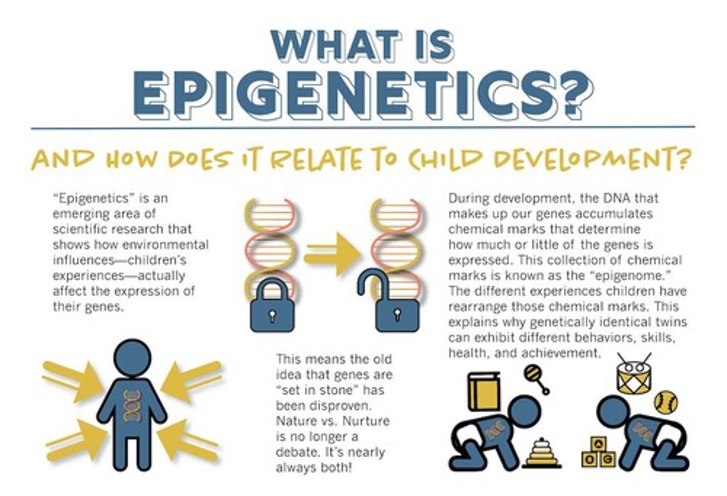 <p>Our choices can change us and are not determined solely by our genes.</p>