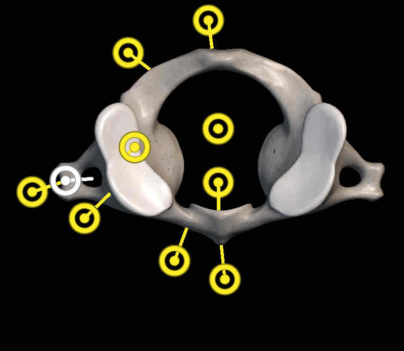 <p>Name the structure</p>