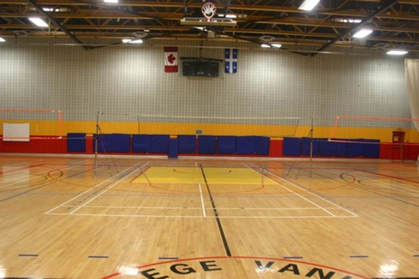 <p>the gym</p>