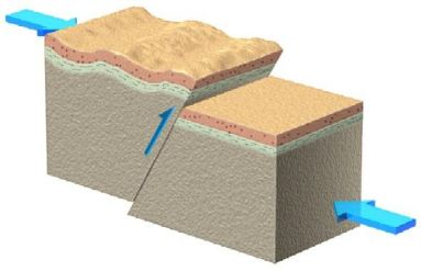 <p>This fault is a ____________ fault.</p><p>&nbsp;</p><ul><li><p>normal dip-slip</p></li><li><p>strike slip</p></li><li><p>reverse dip-slip</p></li><li><p>obtuse dip-slip</p></li></ul><p></p>