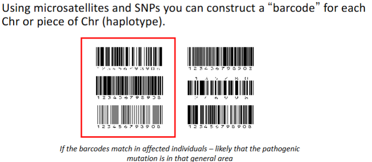 <p>Molecular Barcoding</p><p></p>
