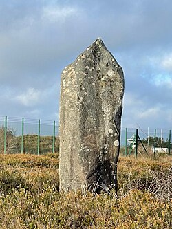 <p>Single stone standing upright</p>