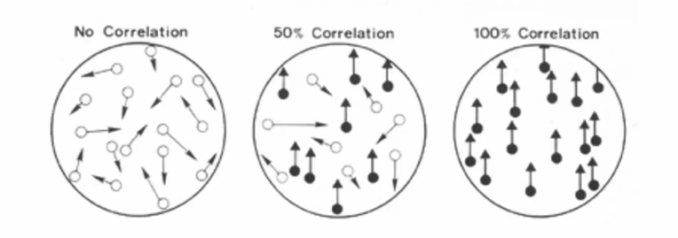 <p>random dot motion</p>