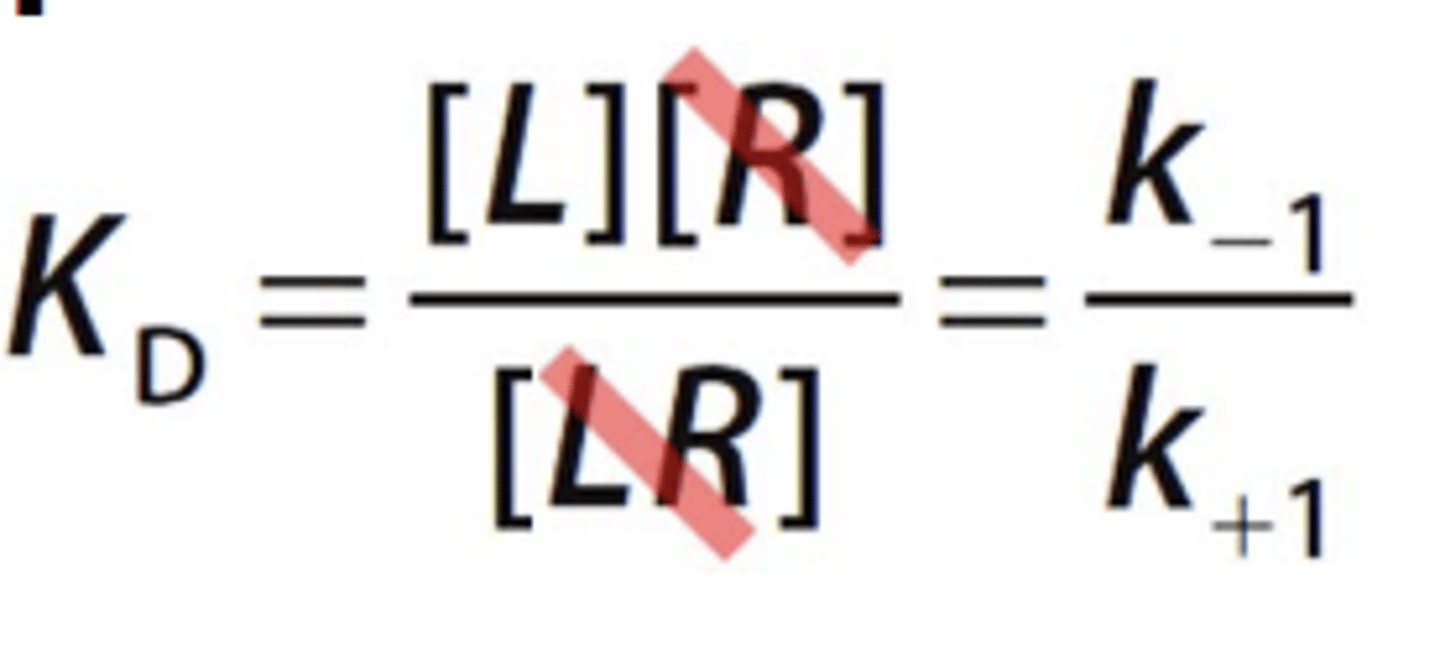 <p>At equilibrium, KD corresponds to the ligand concentration [L] at which half of the receptor are occupied</p><p>KD = [L]</p>