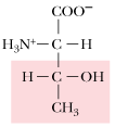 <p>What amino acid is this</p>