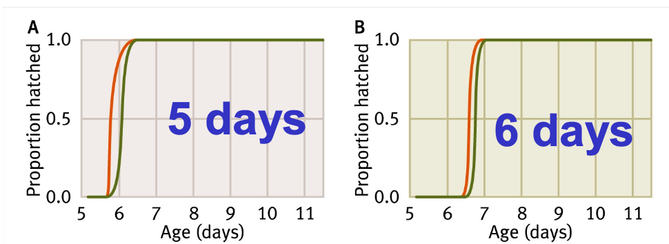<p>-They lay their eggs on leaves above the water and hatched tadpoles drop into the water</p><p>-Methods: they let eggs be attacked by snakes at ages 5 and 6 and monitored hatching</p><p>days</p><p>-Results: Eggs responded to predation on neighbouring eggs by hatching earlier</p>
