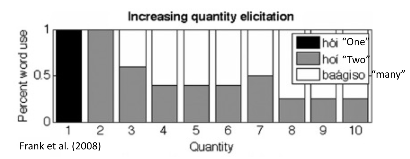 <ul><li><p><span><span>Three words for counting: One, two, many</span></span></p></li><li><p><span><span>Sense of quantity influenced by their language</span></span></p></li></ul><p></p>