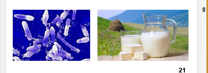<ul><li><p><strong>Can survive pasteurization </strong></p></li><li><p>Certain microbes are <strong>thermoduric</strong> ( <mark data-color="blue" style="background-color: blue; color: inherit">survive high temps for short times</mark>) &amp; survive the pasteurization process </p></li></ul><p></p>