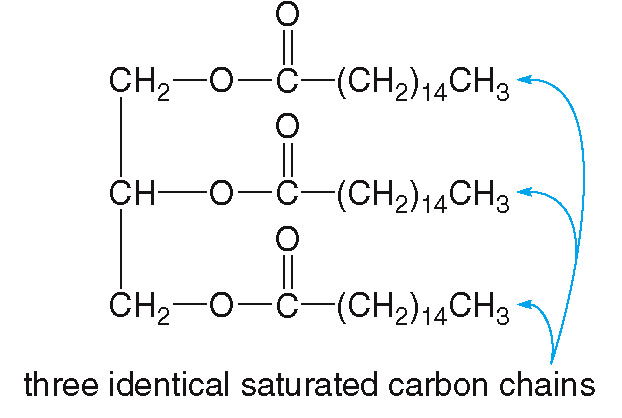<ul><li><p>If the side chains (R, R’ and R’’) from the three fatty acid molecules are of the same kind</p></li></ul><p></p>