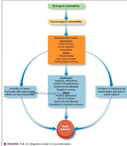 <p>bio (vulnerability)→ psycho (vulnerability) → social (stressful life events)</p><p>social — depression: personal loss, social rejection, humiliation</p><p>social — mania: achievements, new opportunities, perfectionistic striving</p><p>→ leads to activation of stress / depression or mania / problems with interpersonal relationships</p><p>→ calls towards mood disorder</p>