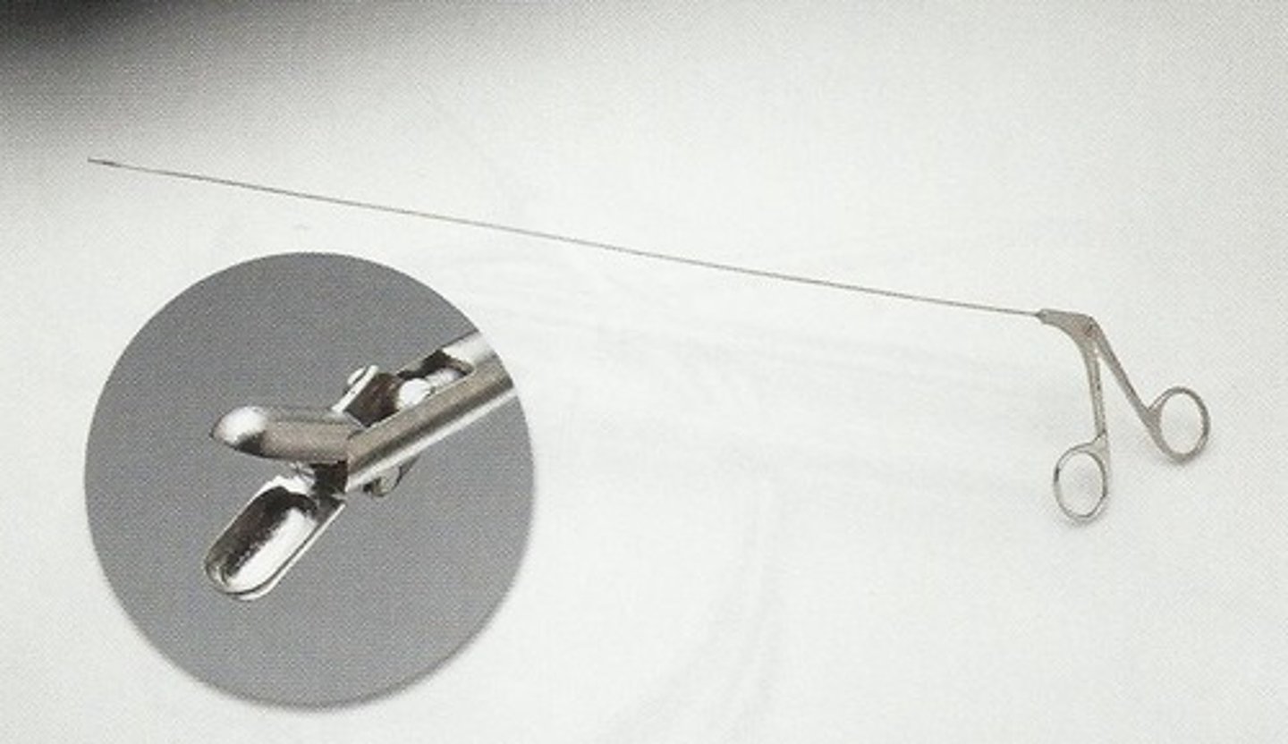 <p>instrument used for visual exam of the uterus</p>