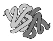 <p>Several tertiary protein structures</p>