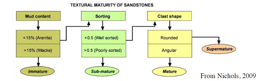 <ul><li><p>increase in rounding, sorting, and increase in stable minerals (e.g., quartz vs. feldspar and clay) is used to indicate a more “mature” enviro</p></li><li><p>supermature quartz arenites commonly reflect multi-cycle sediments </p><ul><li><p>i.e., deposited and re-eroded</p></li></ul></li></ul>