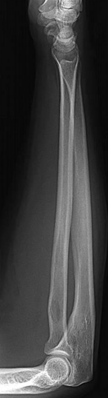 <p>what is this projection </p>