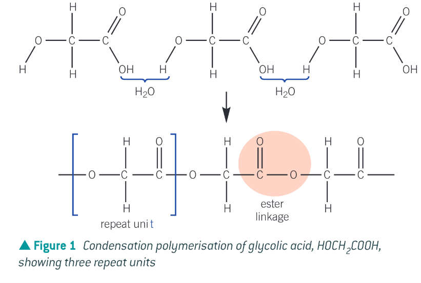 <p>poly(glycolic acid) (PGA) monomer: HOCH2COOH it contains both a hydroxyl and carboxyl group.</p><p>The carboxylic acid group in one molecule reacts with the alcohol group of another molecule to form the ester linkage and water</p>