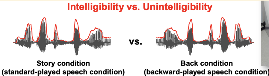<ul><li><p><span style="background-color: transparent;"><span>MEG with 248 magnetometers (4-D Neuroimaging)</span></span></p></li><li><p><span style="background-color: transparent;"><span>22 healthy, right-handed subjects (11 females; 19-44 years old)</span></span></p></li><li><p><span style="background-color: transparent;"><span>Natural stimulus: 7-minute continuous real-life story (auditory speech)</span></span></p></li><li><p><span style="background-color: transparent;"><span>ppt heard two different conditions</span></span></p><ul><li><p>normal speech and reversed speech </p></li></ul></li><li><p>rhythmic components will be the same </p></li></ul><p></p>