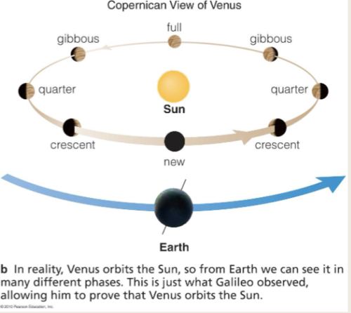 D (gibbous)