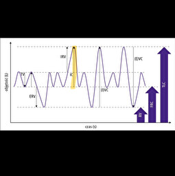 <p>Co to za pojemność płuc ssaka?</p>