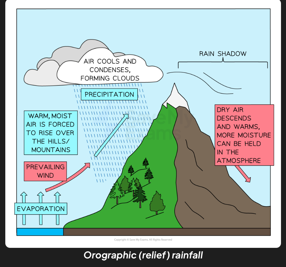<p>Warm moist air formed by evaporation and carried by prevailing wind is forced to rise over high ground like mountains. Air cools, condenses , forming clouds so leads to precipitation. In the rain shadow,Dry air descends and warms so more moisture held in atmosphere.</p>
