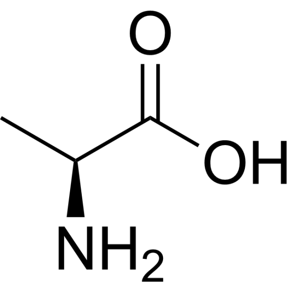 <p>Amino Acid </p>