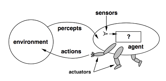 <p>An entity that has perception-action capabilities </p><ul><li><p>It can sense its environment and act in it</p></li><li><p>ex. humans, animals, robots, kinds of software</p></li></ul><p></p>