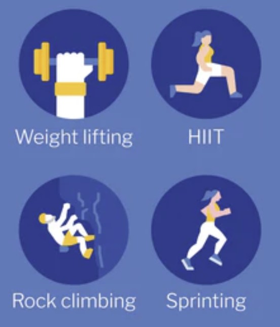 <p>Which type of endurance is:</p><ul><li><p>Activities: 50-meter dash, weightlifting</p><ul><li><p>use fast fibers</p></li><li><p>fatigue quickly with strenuous activity</p></li></ul></li><li><p>Improved by</p><ul><li><p>frequent, brief, intensive workouts</p></li><li><p>hypertrophy</p></li></ul></li></ul><p></p>