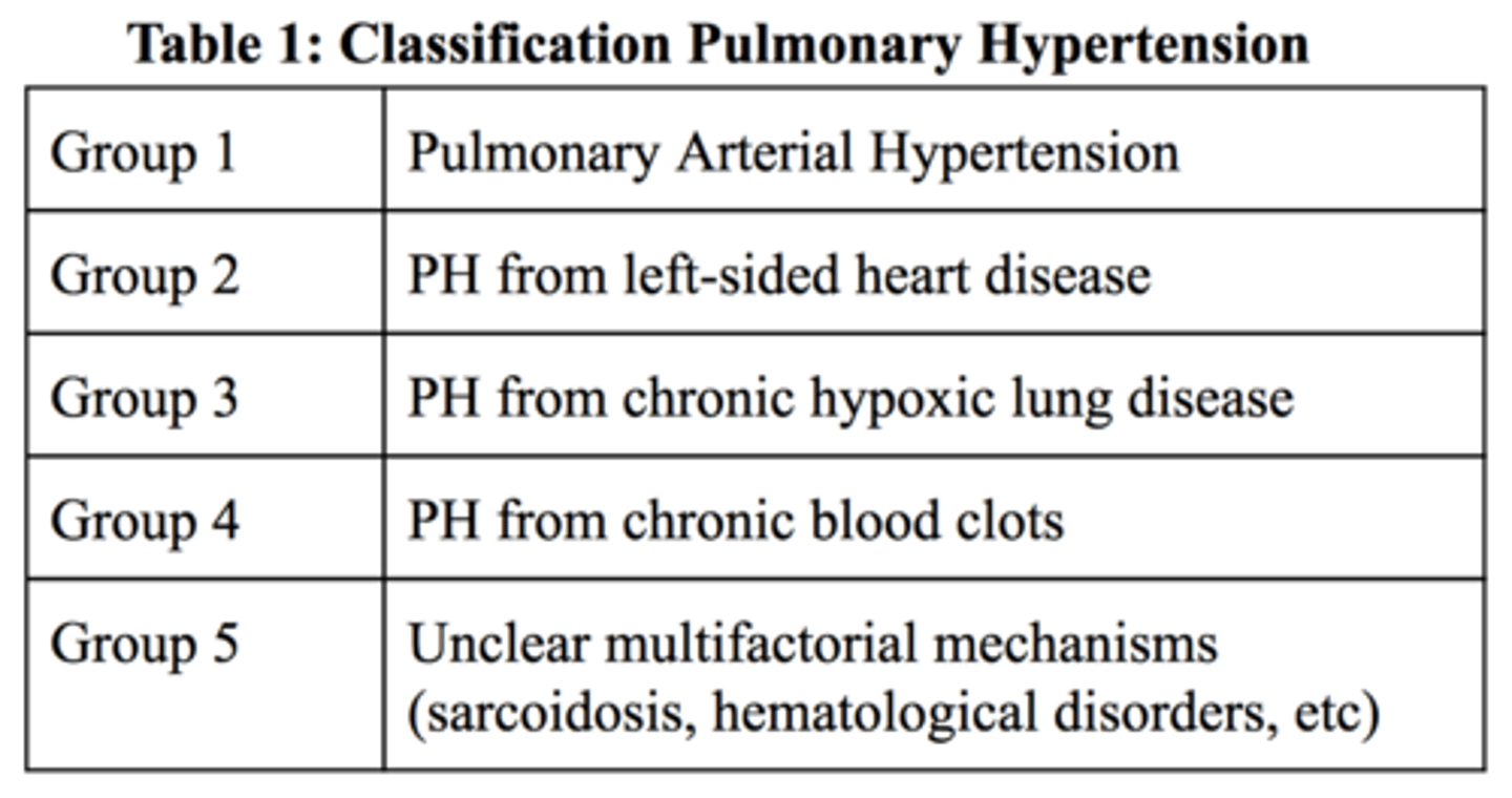 <p>BAM use: Pulmonary arterial hypertension (WHO Group 1).</p>