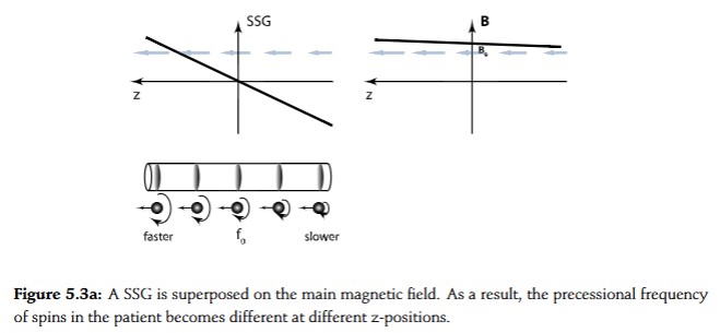 <p>gradient applied to determine the slice plane of the image, determining the z coordinate common to all the voxels contributing to the image</p><p>direction of SSG magnetic field is the same as B0, but magnitude varies linearly as a function of z. </p><p>for negative z it opposes B0, for z=0, nothing happens to B0, for positive z it reinforces B0</p><p>field is weakest at -z end of patient and strongest at +z end. spins at -z are slower, and faster at +z</p>