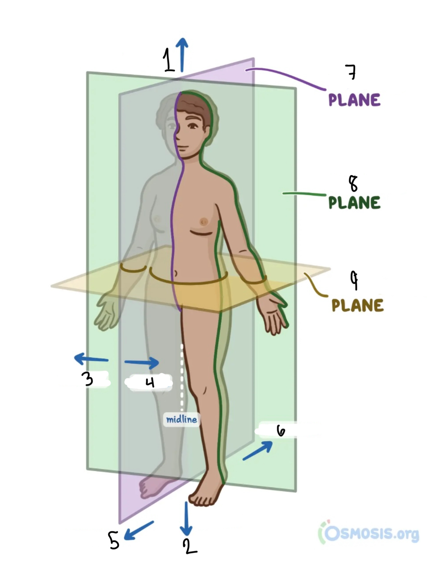 <p>What’s 7, 8, 9</p>