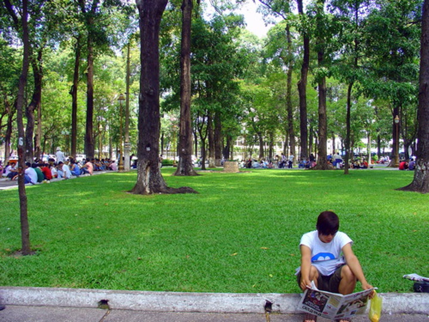 <p>a park</p>