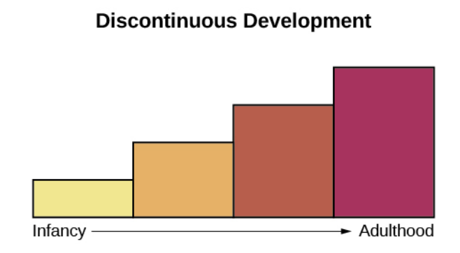<ul><li><p>development takes place in unique stages: It occurs at specific times or ages</p></li><li><p>With this type of development, the change is more sudden, such as an infant’s ability to conceive object permanence</p></li></ul><p></p>