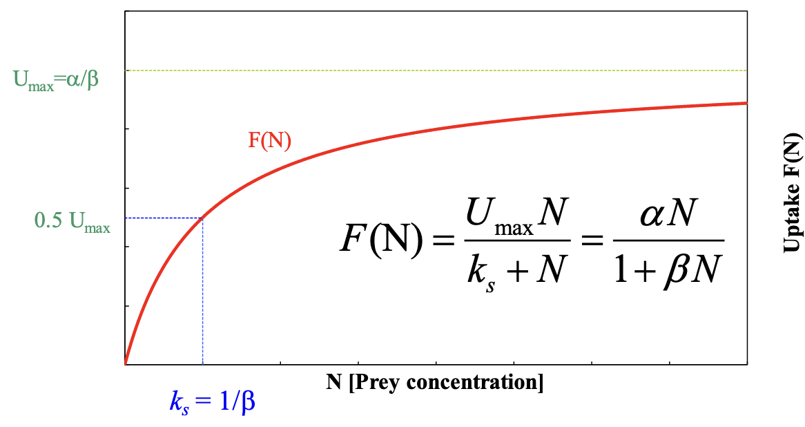 <p>Parameters:</p><p>U<sub>max</sub>, k<sub>s</sub></p>