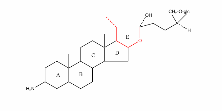 <p>giống như furostan với vòng F mở và NH2-C3</p>