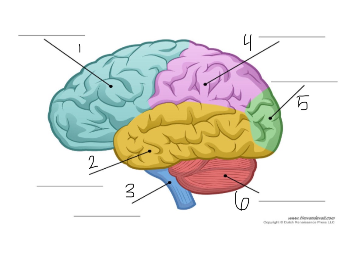 <p>5.</p>