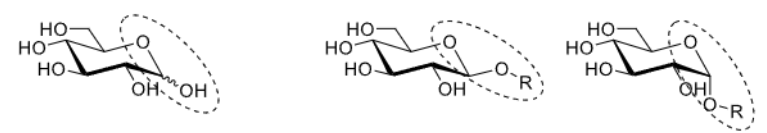 <p>When a glycosidic bond is formed as the R group prevents ring opening.<br>Mutarotation requires a free hydroxyl group at the anomeric position.</p>
