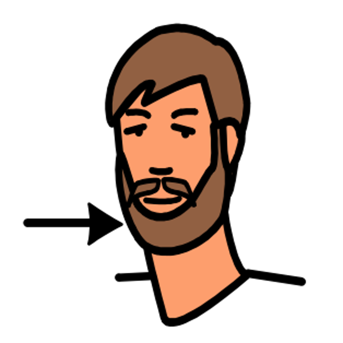 <p>la barba</p>
