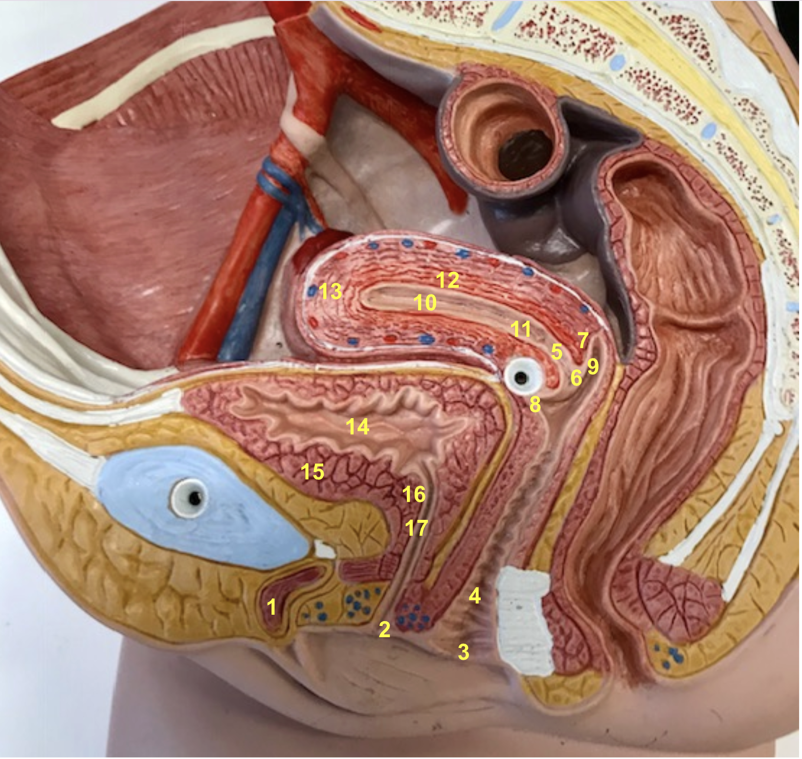 <p>What is number 6?</p>