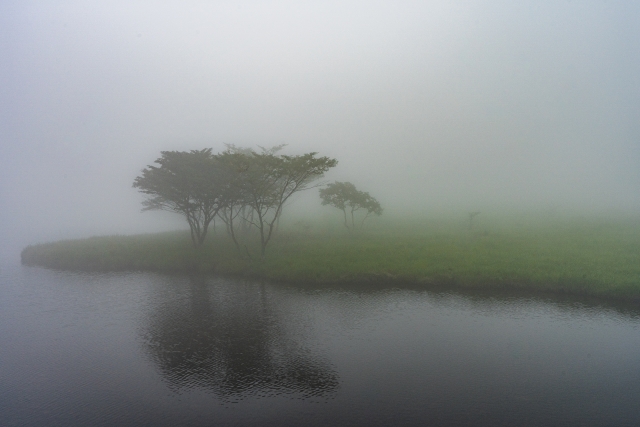 <p>mist / light clouds</p>