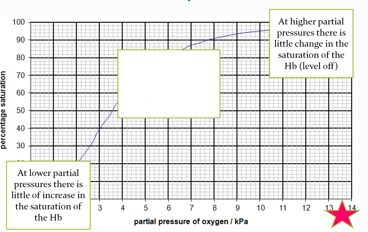 <p>EXPLAIN what is happening at the middle of the oxygen dissociation curve</p>