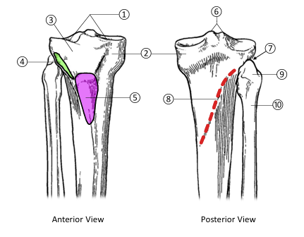 <p>4</p>
