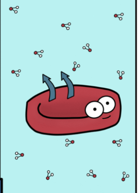 knowt flashcard image