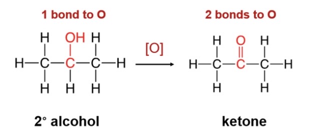 \-secondary alcohols oxiixe to produce a ketone( double bonded c-c and c) 