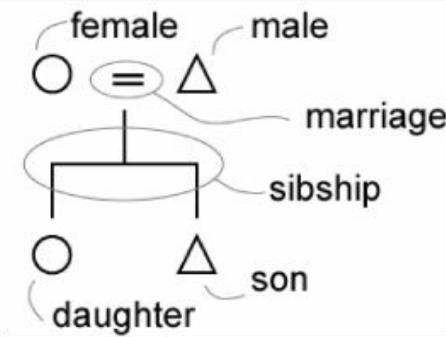 <p>What do anthropologists use to talk about family structures?</p>