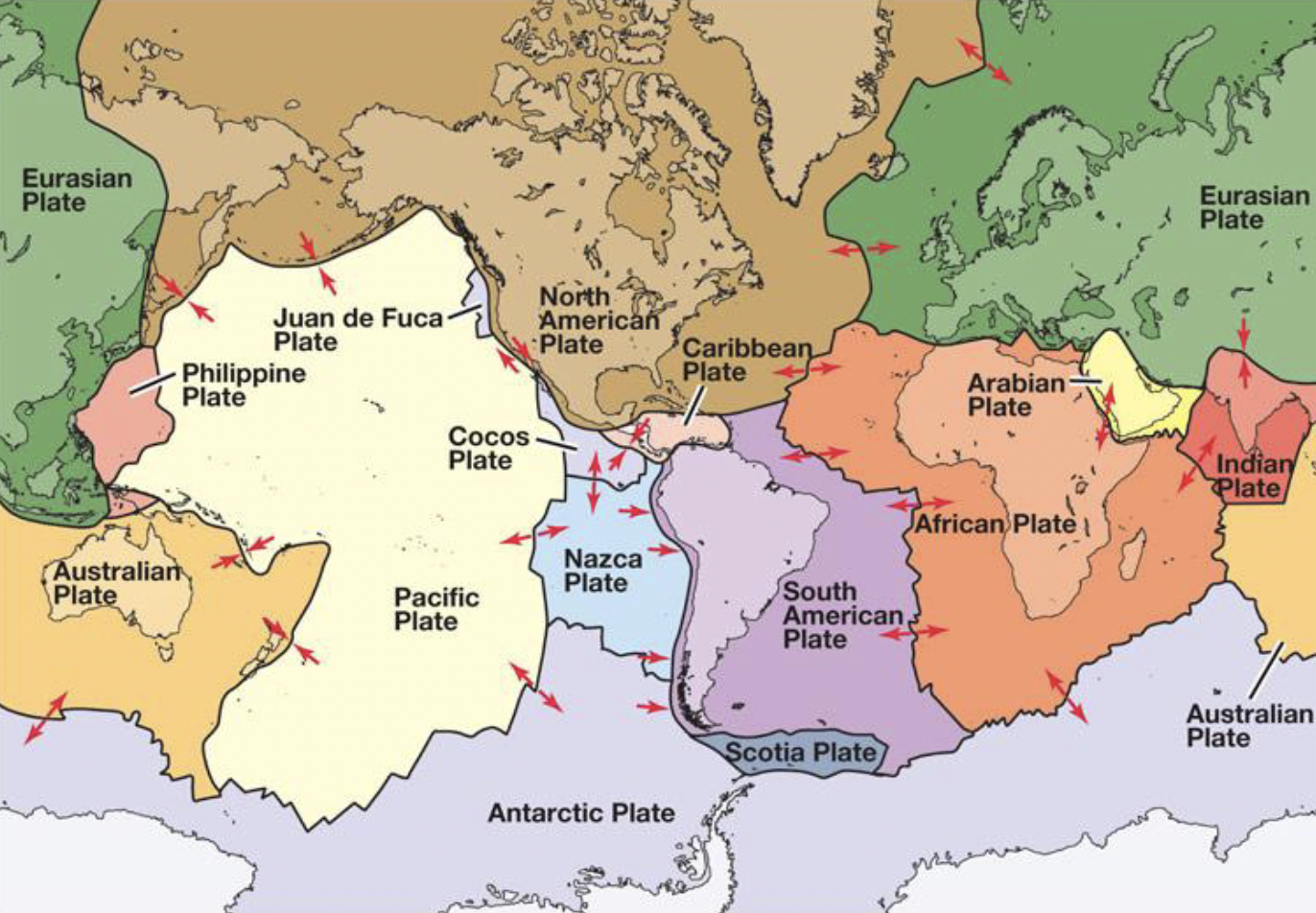 <ul><li><p>North American</p></li><li><p>Eurasian</p></li><li><p>African</p></li><li><p>Austrailain</p></li><li><p>Indo-Austrailian</p></li><li><p>Indian</p></li><li><p>South American</p></li><li><p>Antarctic</p></li><li><p>Pacific</p></li></ul><p></p>