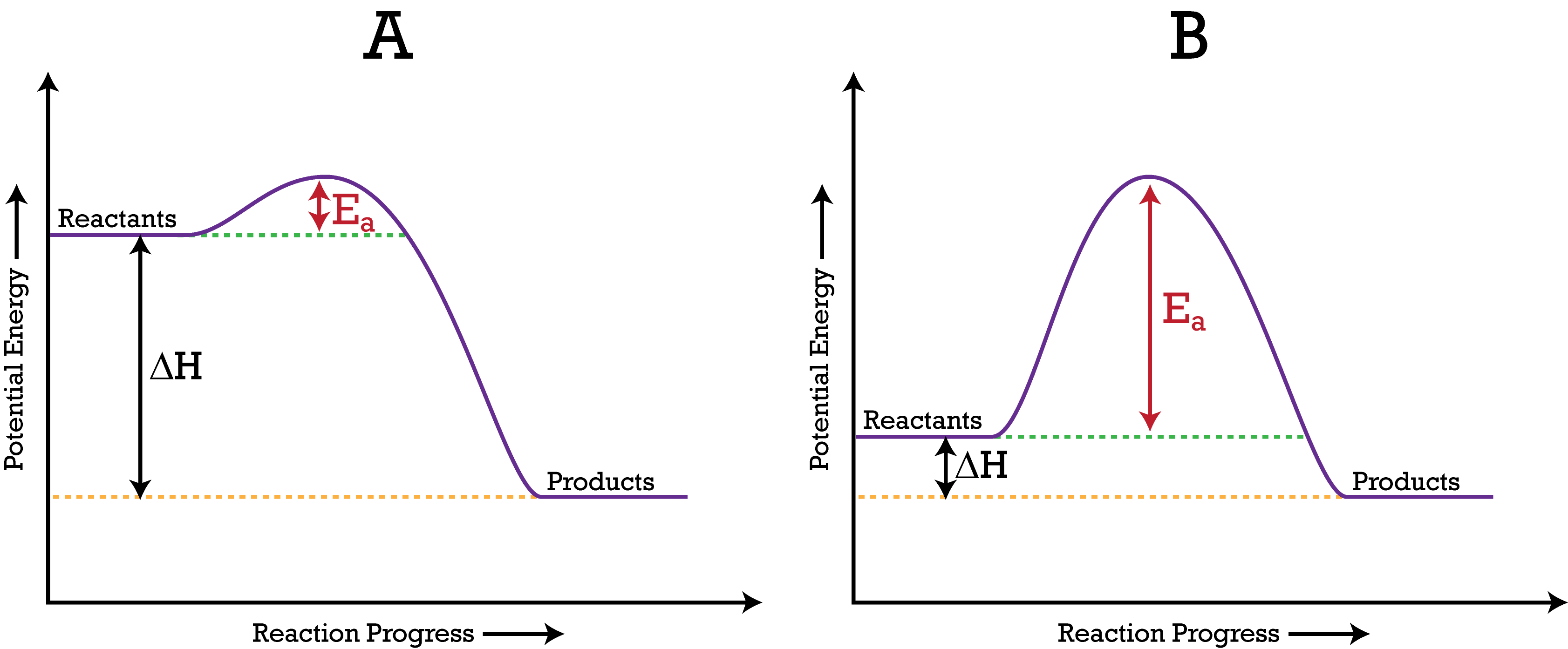 <p>Ea is potential energy</p>