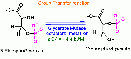 <p>Mutase</p>