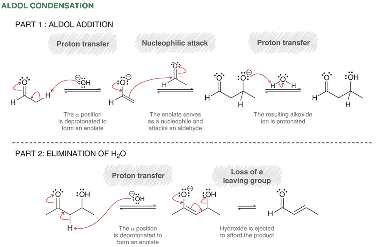 <ul><li><p><strong>E1CB</strong> mechanism — elimination that involves the formation of an anion.</p></li><li><p>Trans configuration will be major&nbsp;</p></li></ul><p></p>