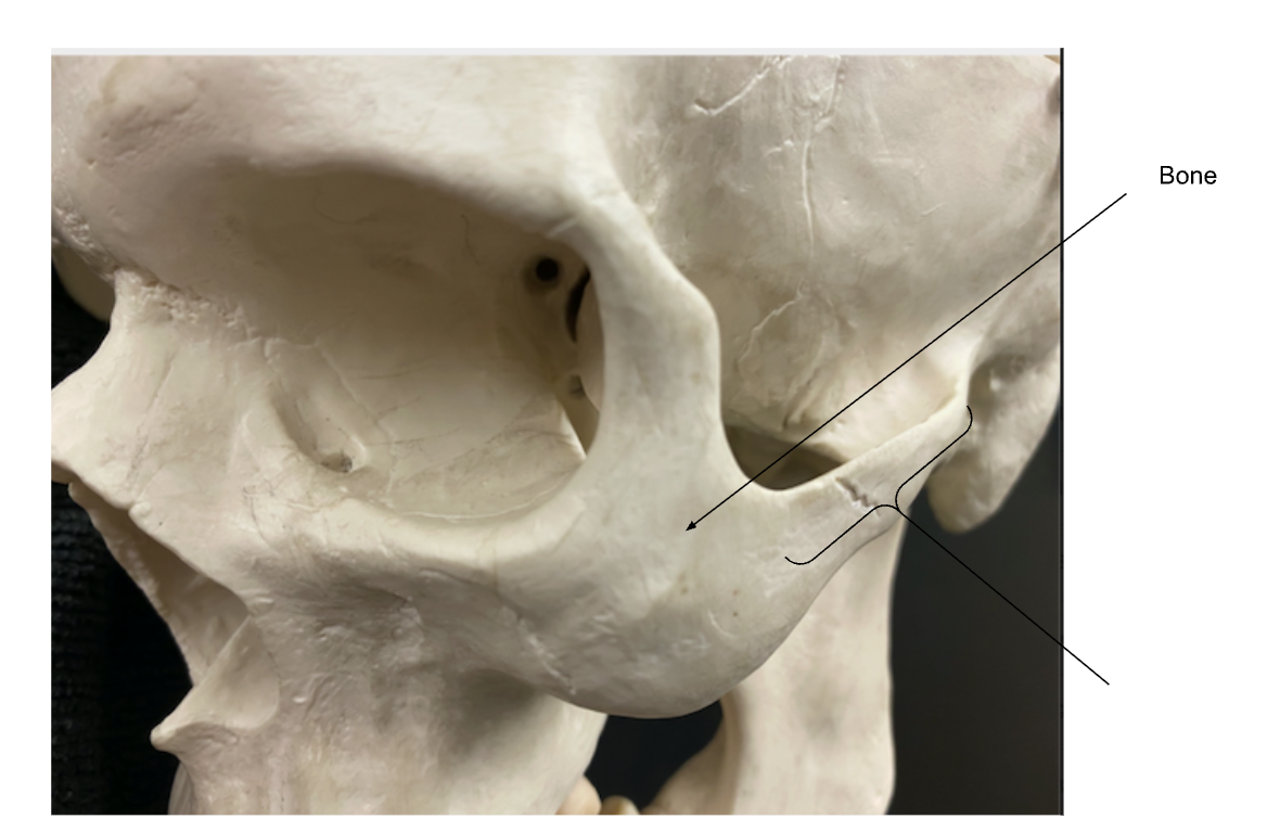 <ol><li><p></p></li><li><p></p></li></ol><p></p>